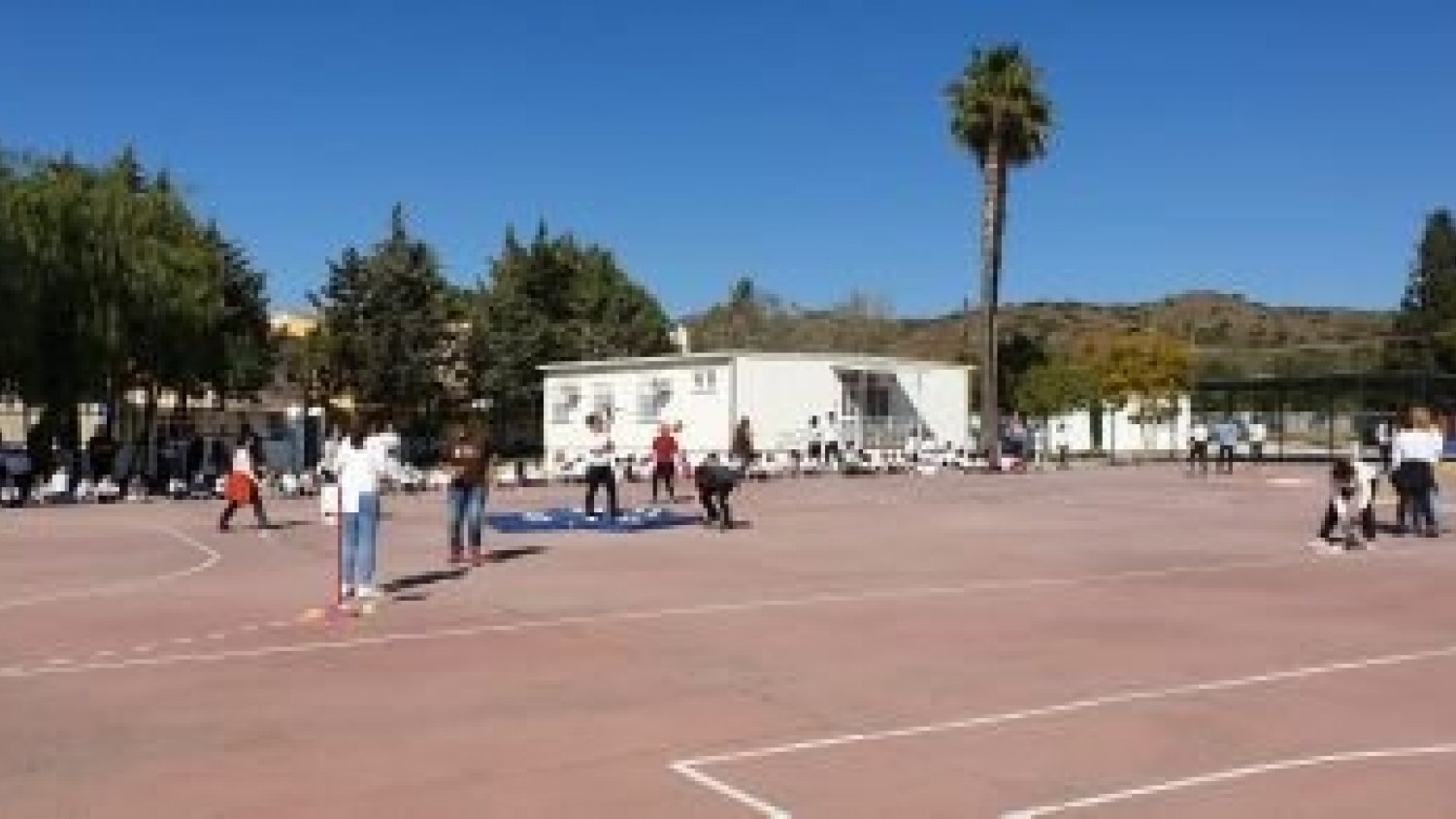 Una plaga de pulgas obliga a cerrar temporalmente el colegio CEIP Cayetano Bolívar de Santa Rosalía