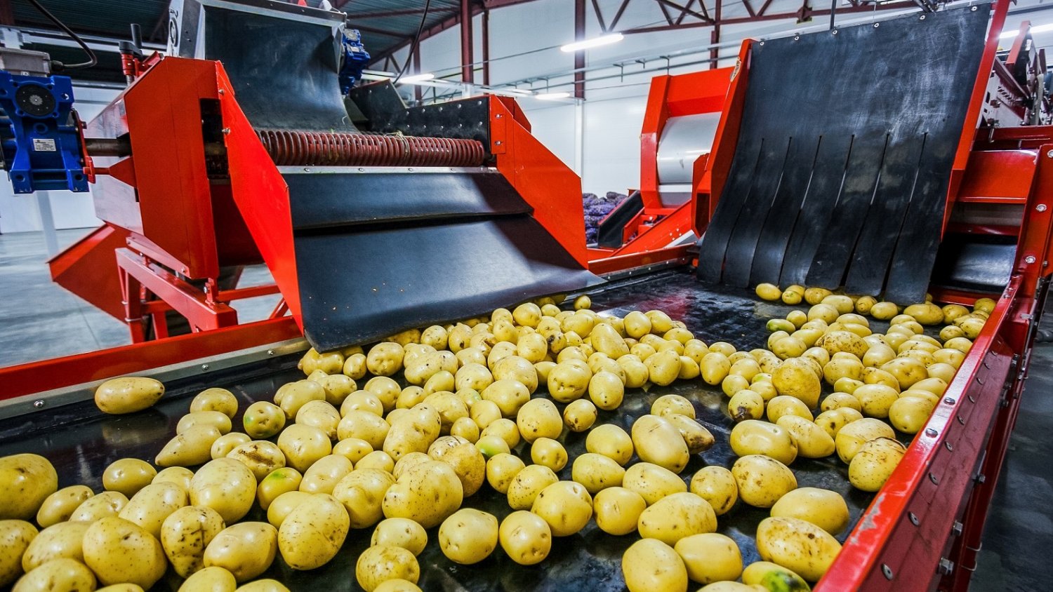 El valor de las exportaciones hortofrutícolas andaluzas a EEUU crece casi un 34% en el primer trimestre de 2024