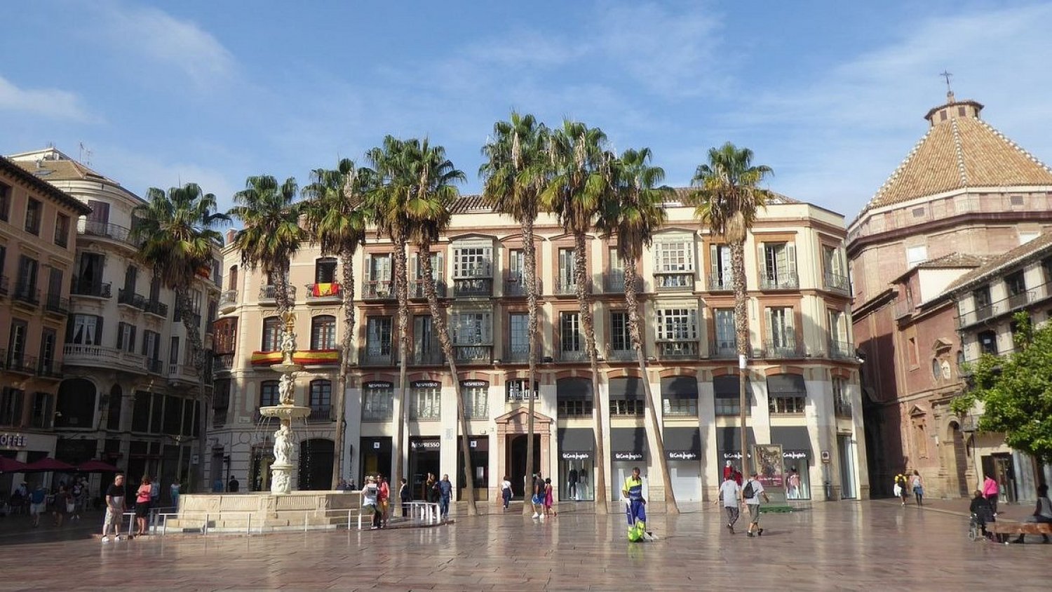 Una de las palmeras ubicadas en la plaza de la Constitución será sustituida por sus deficiencias