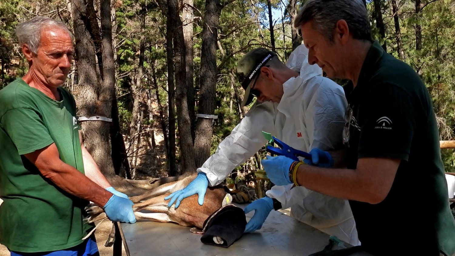 La Junta inicia un plan de acción para el control sanitario en la reserva de Ojén 