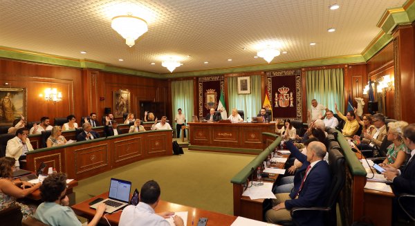 El Pleno de Marbella avanza en dos propuestas que posibilitarán el desarrollo de suelo hotelero, comercial y residencial