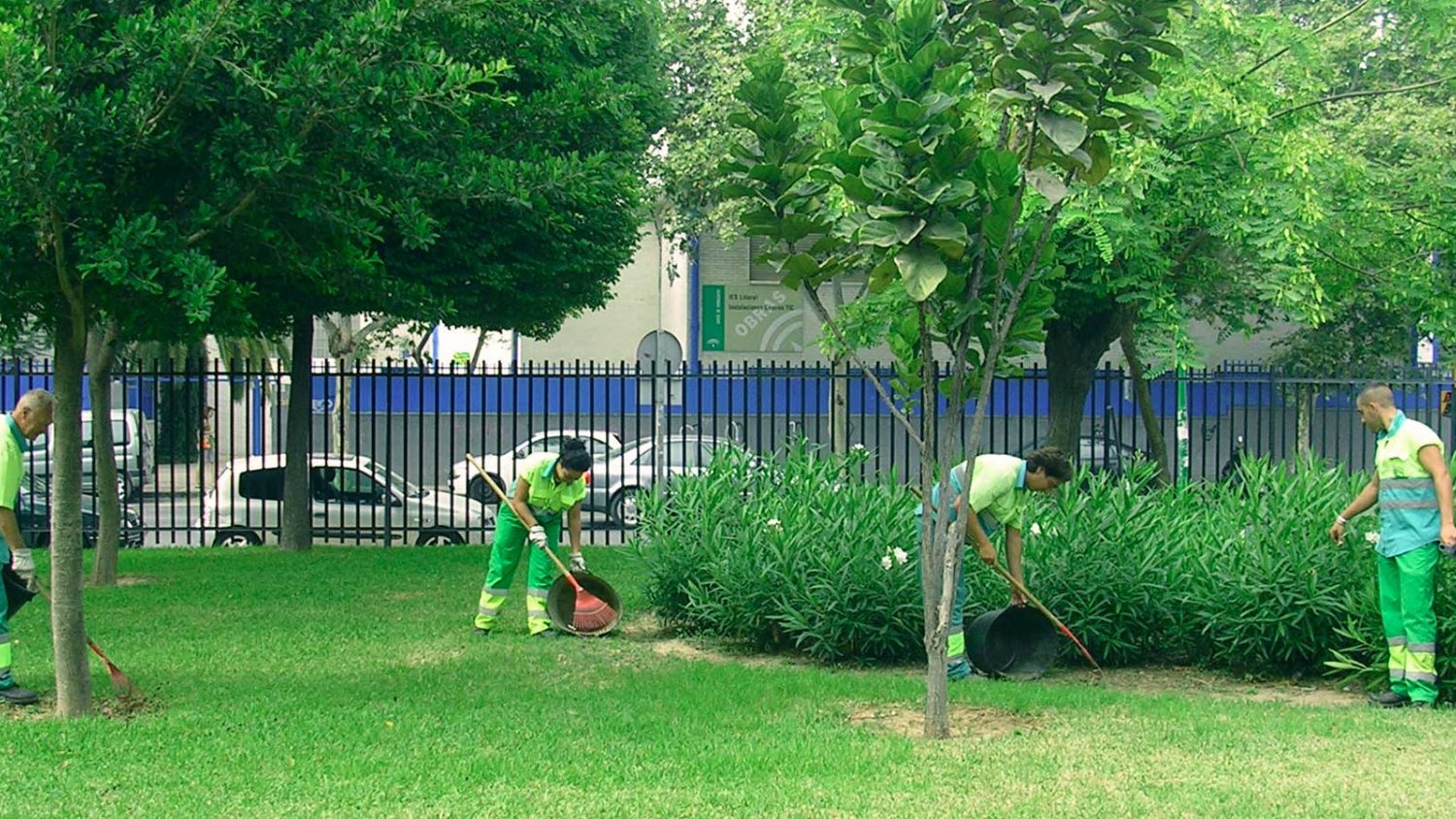 En los últimos cinco años se han plantado en Málaga 6.232 árboles en calles y jardines públicos de los 11 distritos