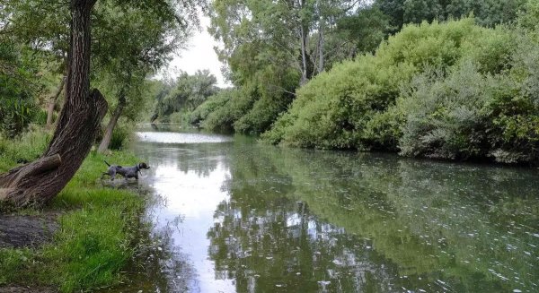 El Ayuntamiento de Arriate firma con  el Consorcio Provincial del Agua de Málaga la explotación de la nueva depuradora